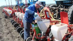 «Семеноводство Кубани» открыло молекулярную лабораторию для селекции «Ладожских» 